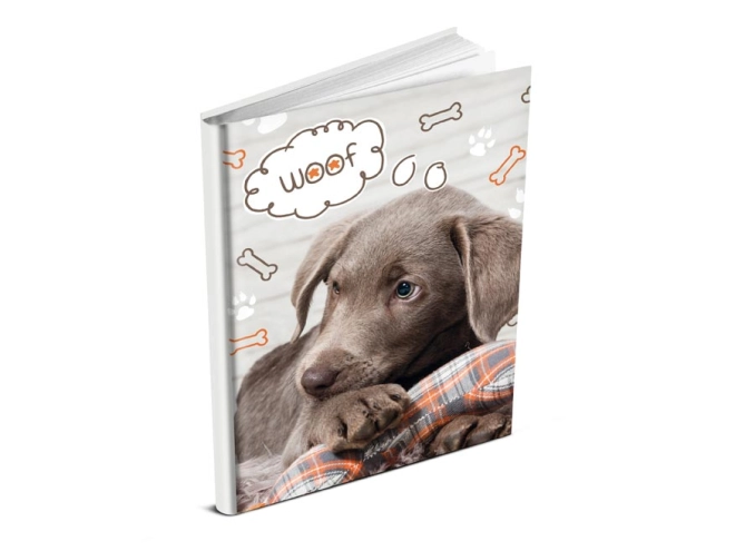 Motif avec chien