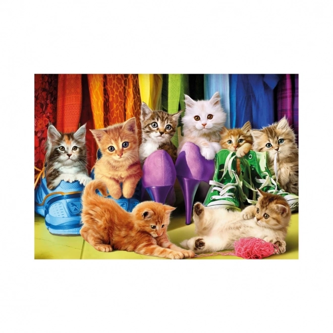 CHATONS COLORÉS 300 XL Puzzle