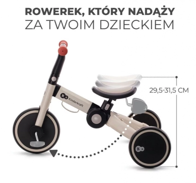 Tricycle 4TRIKE ARGENT GRIS