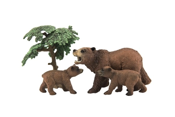 Zoo animaux - Ours