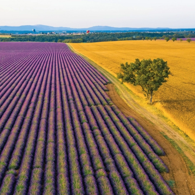 Calendrier à notes Provence 2026