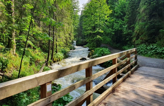 Norimpex peinture diamant pont en bois dans la forêt 30x40cm