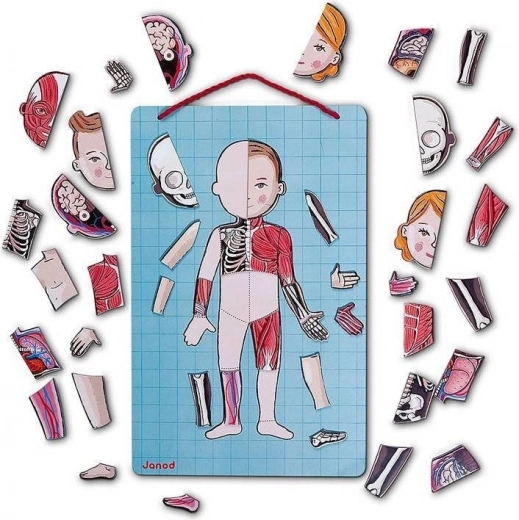 Tableau magnétique à suspendre