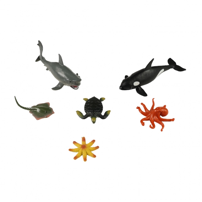 Ensemble d'animaux marins en boîte