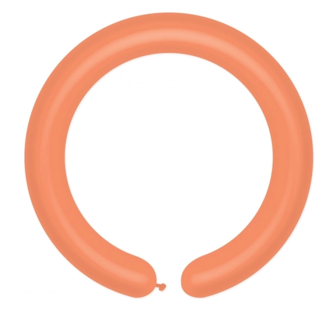 Ballons modelables gonflables - 100 pièces