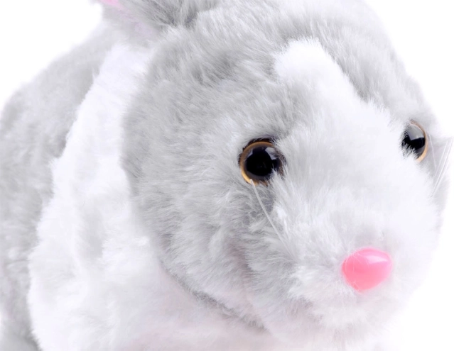 Peluche douce et câline