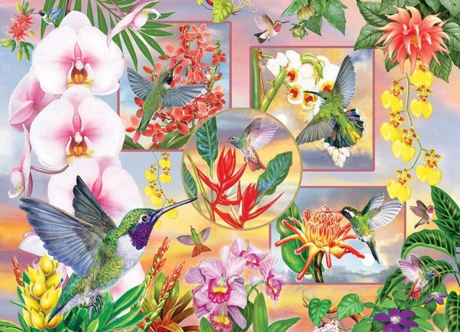 Puzzle Colibris 500 pièces