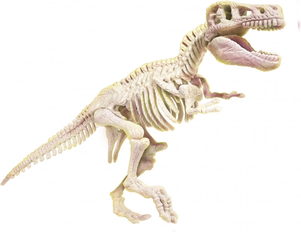 Squelette de T‑Rex lumineux