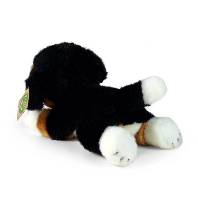 Chien de montagne bernois en peluche allongé 20 cm ÉCOLOGIQUE