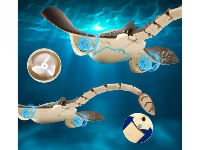 Amusante Planche Aquatique RC