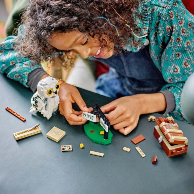 LEGO Harry Potter Hedwige à Privet Drive