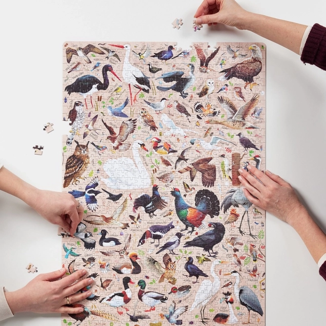 Puzzle Puzzlove Ptaki 1000 pièces