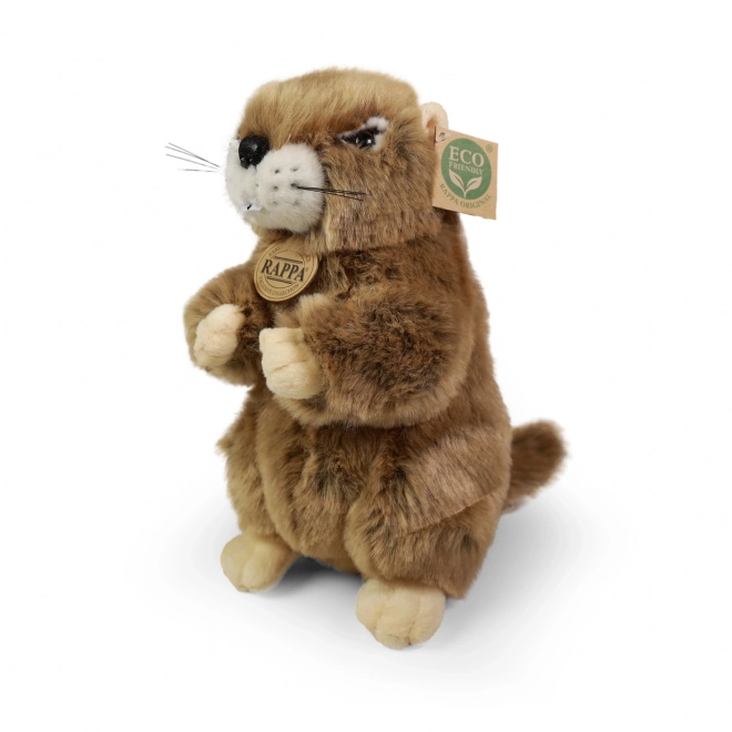 Marmotte en peluche 23 cm ÉCOLOGIQUE