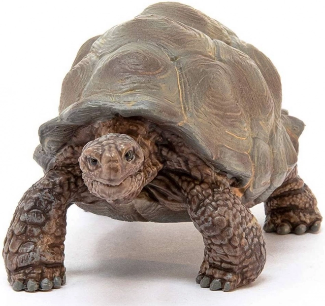 SCHLEICH Wild Life® 14824 Tortue géante