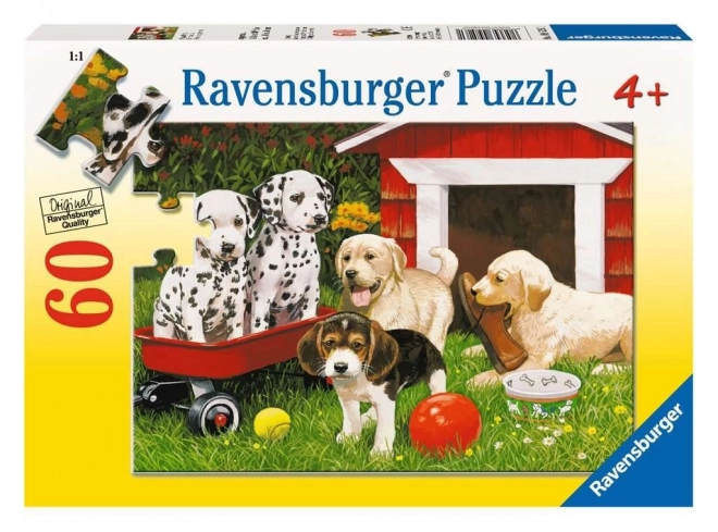 Puzzle Ravensburger Fête des chiots 60 pièces