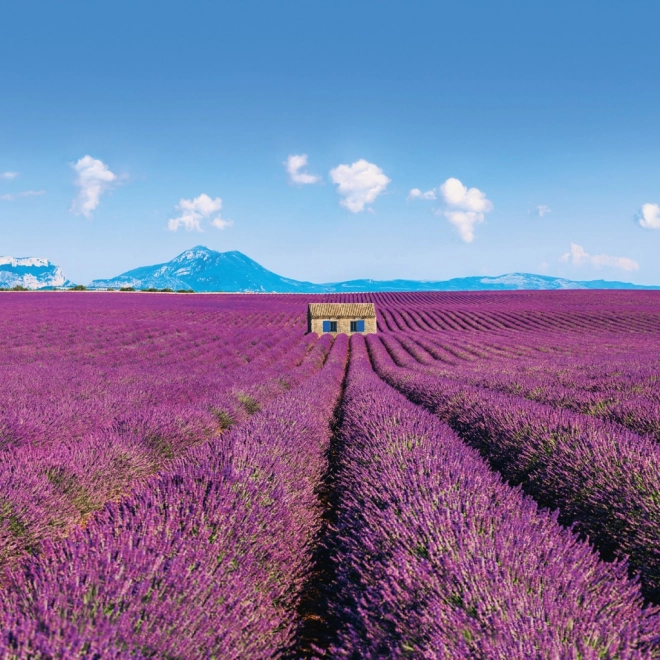 Calendrier à notes Provence 2026