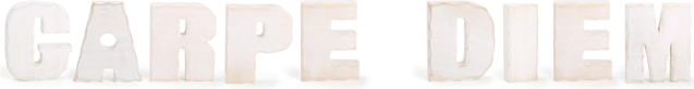 Petite déco en bois Small Foot Carpe Diem