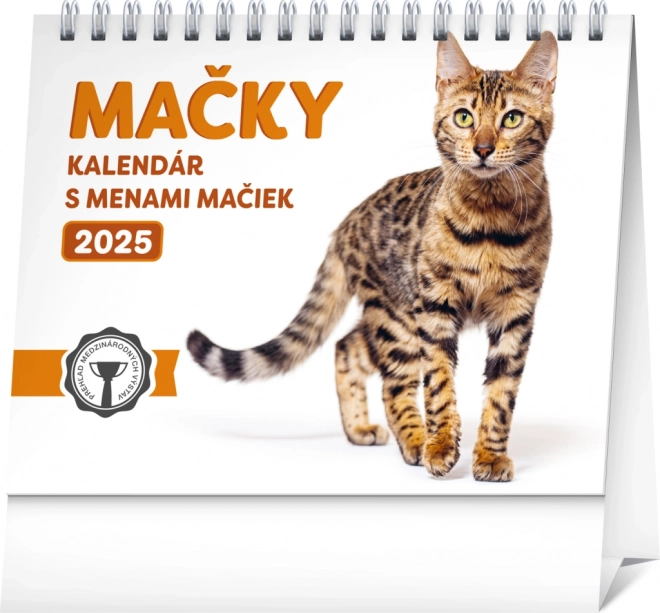 Calendrier de bureau NOTIQUE Chats – avec noms de chats 2025, 16,5 x 13 cm