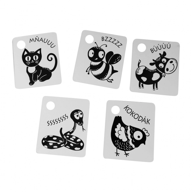Cartes contrastées pour enfants noir et blanc
