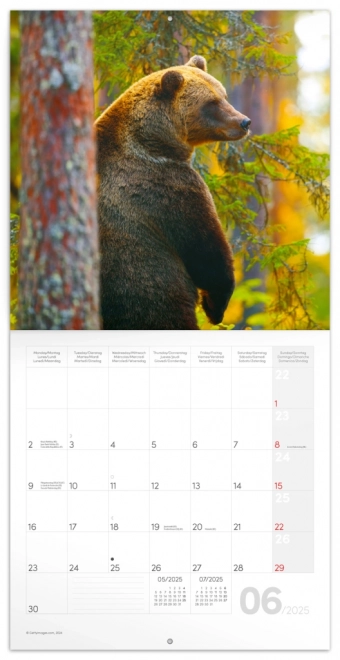NOTIQUE Calendrier Notes Petits animaux de la forêt 2025, 30 x 30 cm