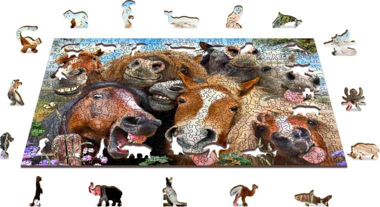 Pièces aux formes uniques