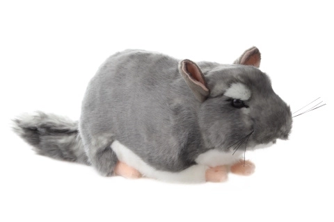Chinchilla en peluche 22 cm
