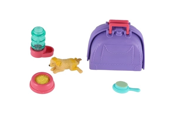 Petit chien avec boîte de transport et accessoires