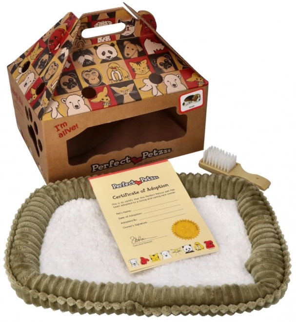 Chiot Cavalier respirant