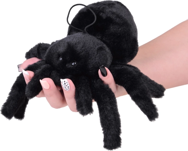 Idéale pour le jeu et la décoration