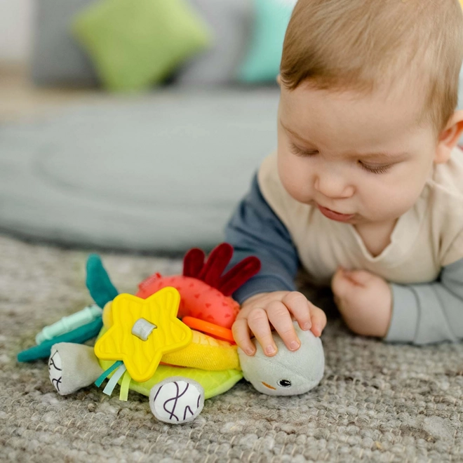 Tortue d'activité, DoBabyDoo
