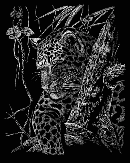 ROYAL & LANGNICKEL Illustrations à gratter en bloc Animaux sauvages