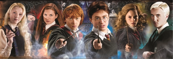 Puzzle panorama 1000 pièces Harry Potter : Les étudiants