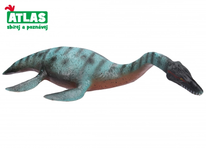 F - Figurine Plesiosaurus 25 cm