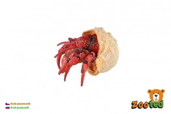Crabe ermite en plastique zooted 7cm en sachet