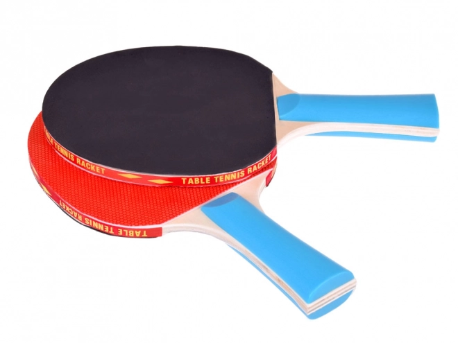Raquettes de ping-pong en bois avec balles