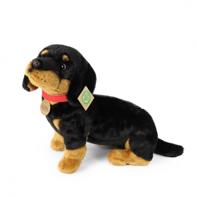 Rappa Chien en peluche teckel 30 cm ECO-FRIENDLY