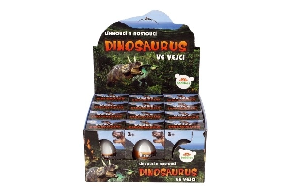Œuf d'éclosion et de croissance dinosaure 6cm dans une boîte