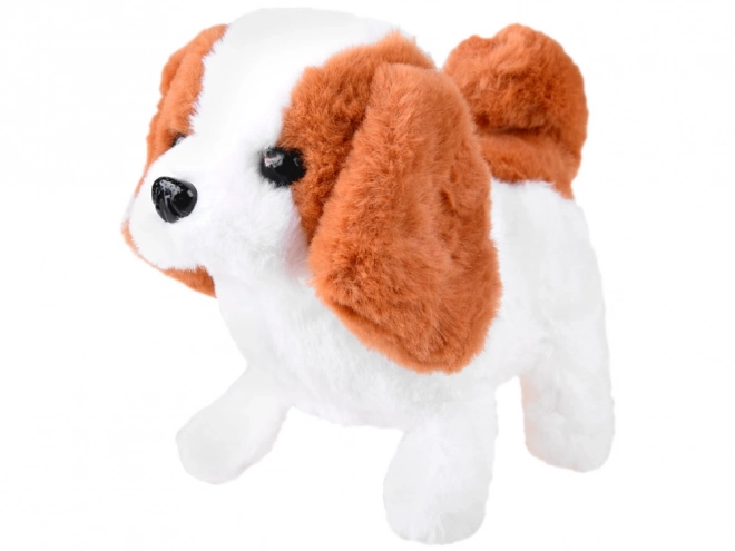 Chien interactif Beagle avec accessoires