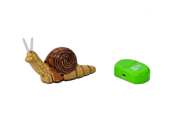 Escargot télécommandé