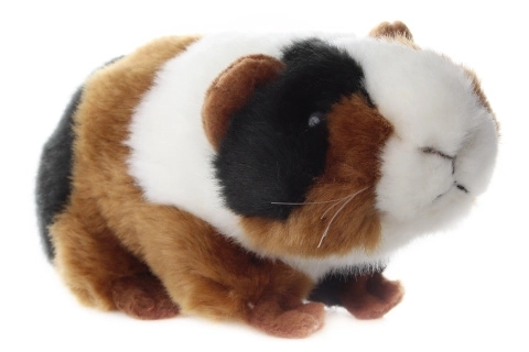 Cobaye en peluche