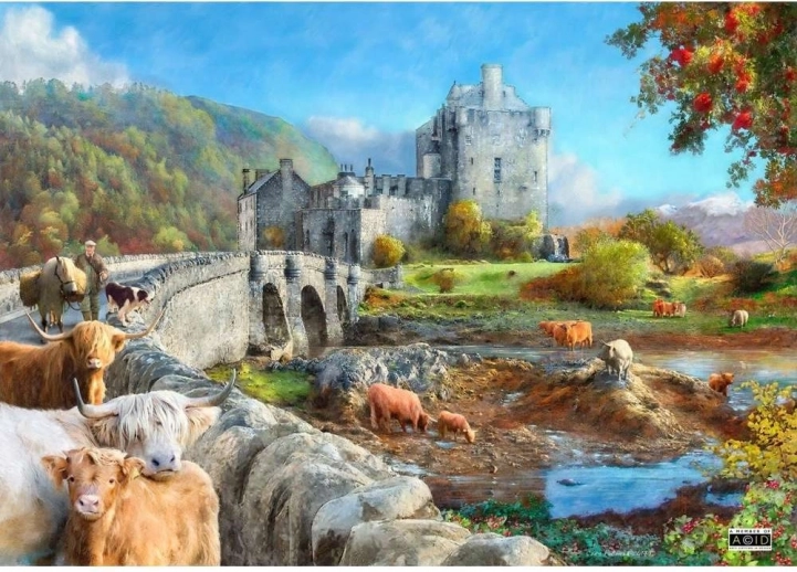 Puzzle Matin dans les Highlands écossaises 1000 pièces