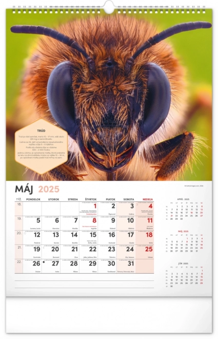 Calendrier mural NOTIQUE Apiculture 2025, 33 x 46 cm