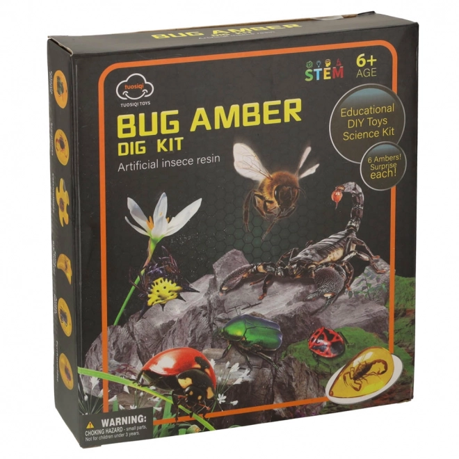 Ensemble éducatif archéologique Insectes dans l'Ambre