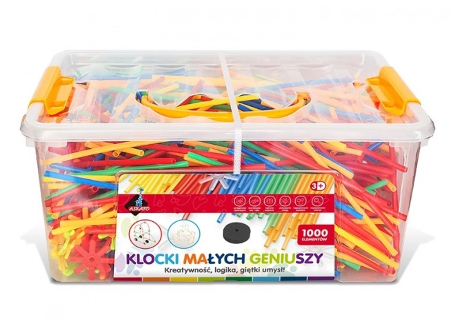 Kit de Construction Petits Génies - Petites Pailles