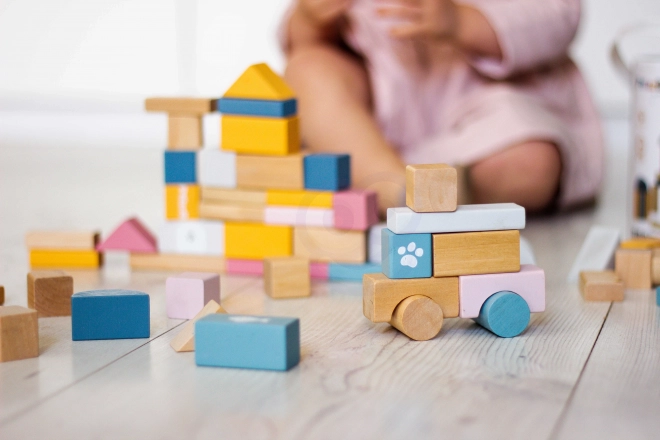 Jeu de construction en bois 60 blocs