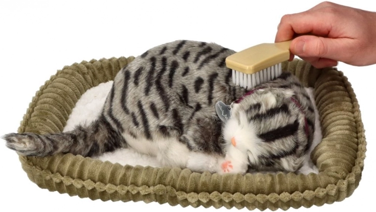 Entretien agréable et facile