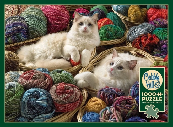 Puzzle Chat Ragdoll 1000 pièces Cobble Hill
