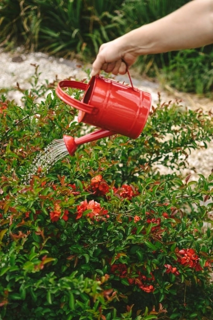 Jouet de jardin - arrosoir en métal rouge
