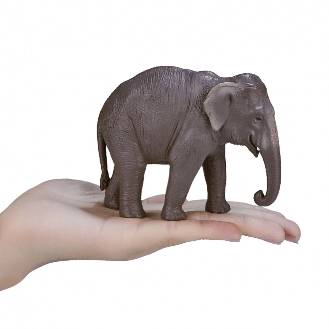 Mojo Éléphant indien