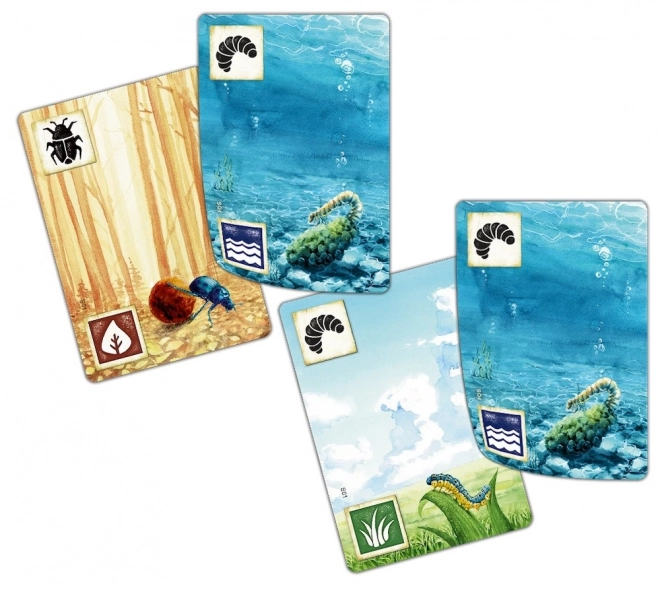 Extension de jeu Louka: Avec le courant de la rivière